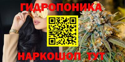 ECSTASY Моздок