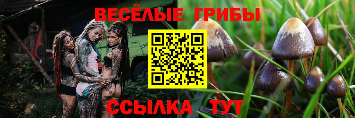 Галлюциногенные грибы прущие грибы Хасавюрт