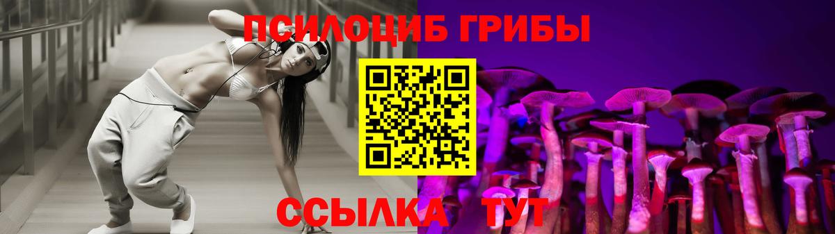Хасавюрт  Галлюциногенные грибы прущие грибы  Вход с VPN  Галлюциногенные грибы GOLDEN TEACHER 